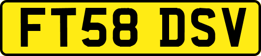FT58DSV