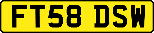 FT58DSW