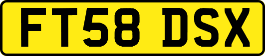 FT58DSX