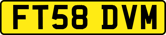FT58DVM