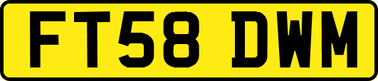 FT58DWM