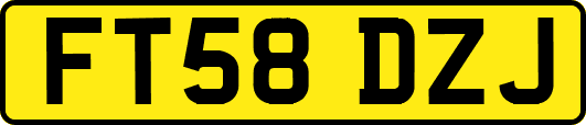 FT58DZJ