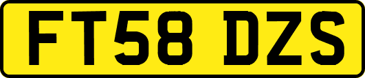 FT58DZS