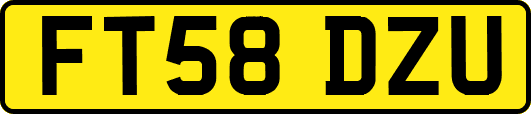 FT58DZU