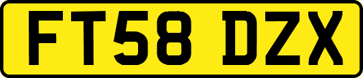FT58DZX