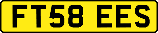 FT58EES