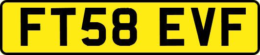 FT58EVF