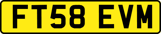 FT58EVM