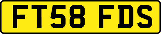 FT58FDS