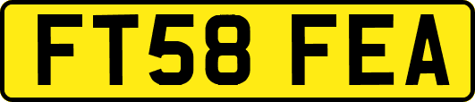 FT58FEA