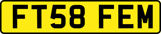 FT58FEM
