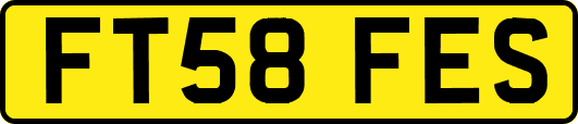 FT58FES
