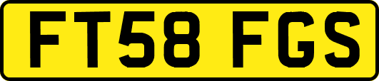 FT58FGS