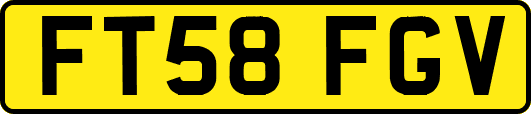 FT58FGV