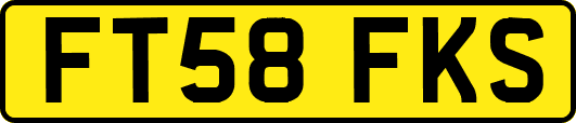 FT58FKS