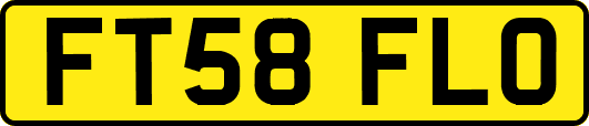 FT58FLO