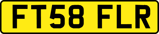 FT58FLR