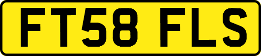 FT58FLS