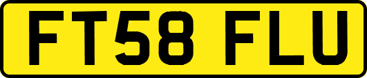 FT58FLU