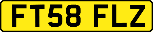 FT58FLZ