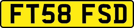 FT58FSD