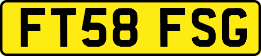 FT58FSG