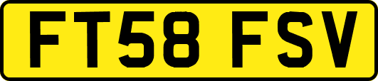 FT58FSV
