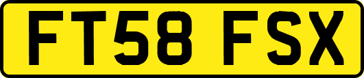 FT58FSX