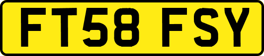 FT58FSY