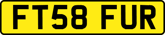 FT58FUR