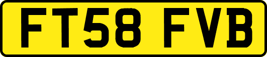 FT58FVB