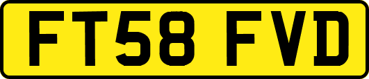 FT58FVD
