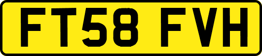 FT58FVH
