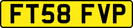FT58FVP