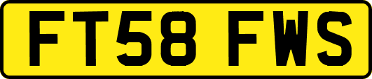 FT58FWS