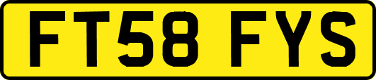FT58FYS