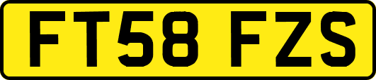 FT58FZS