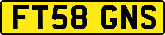 FT58GNS