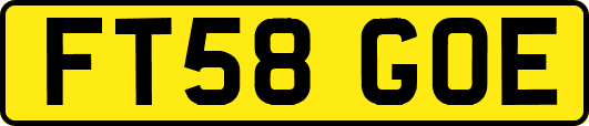 FT58GOE