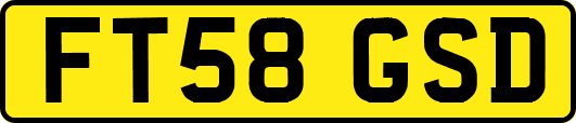 FT58GSD