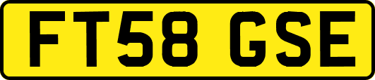 FT58GSE