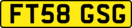 FT58GSG