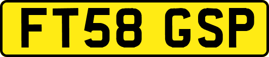 FT58GSP