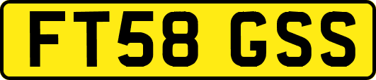 FT58GSS