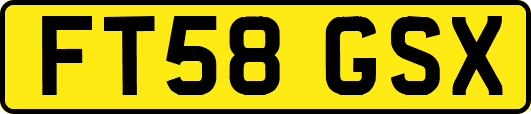 FT58GSX