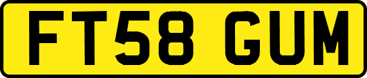 FT58GUM