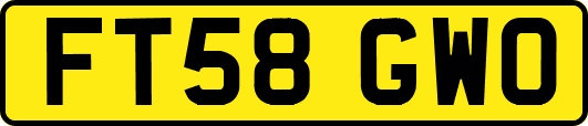 FT58GWO
