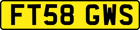 FT58GWS