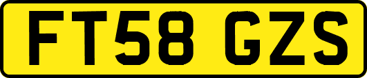 FT58GZS