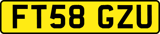 FT58GZU
